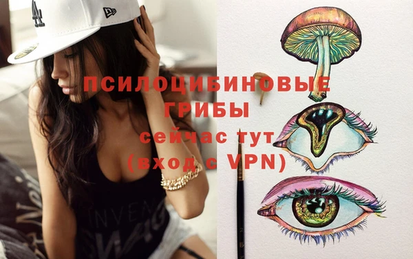 крисы Алексеевка